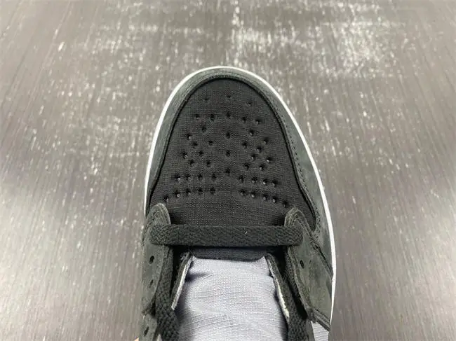 Air Jordan 1 Element “Bred”  Gore-Tex 