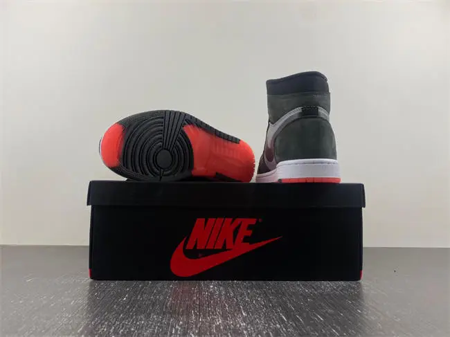 Air Jordan 1 Element “Bred”  Gore-Tex 