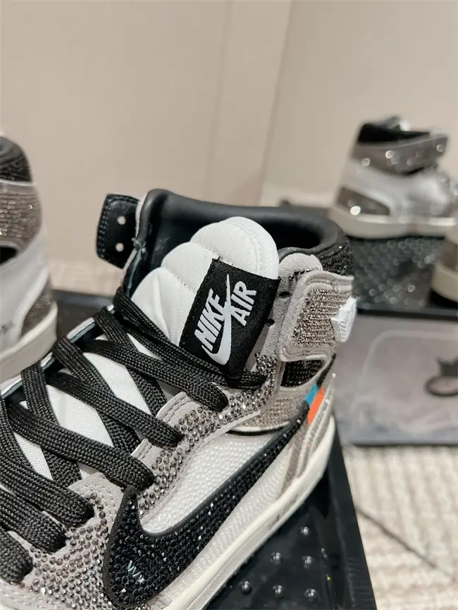 Dior x Nike Air Jordan 
