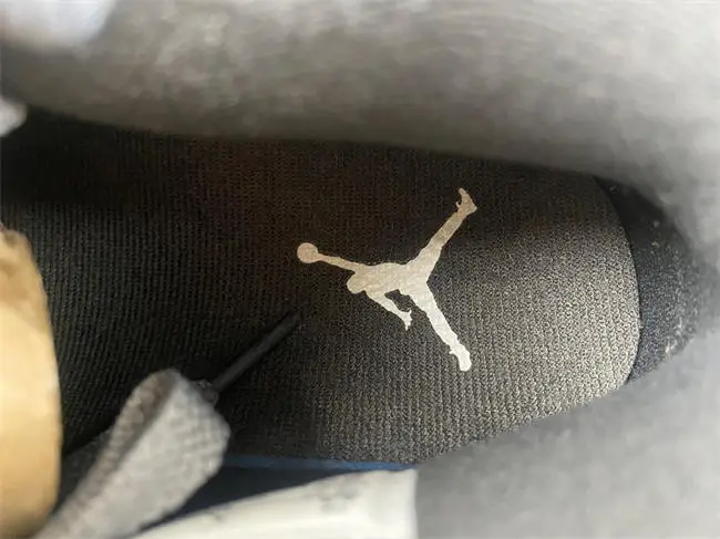Air Jordan 4“Cool 