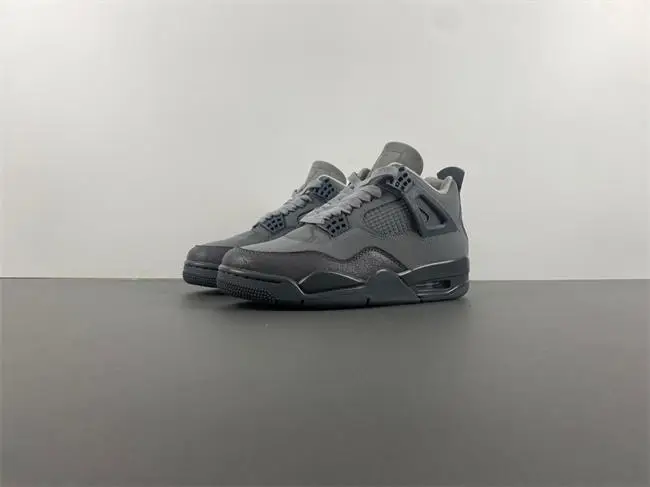 Air Jordan 4 SE “Paris Olympics”2024  CDCDA632
