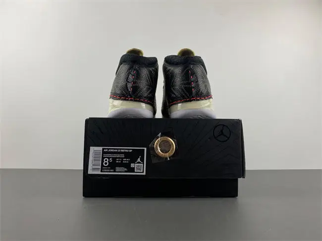 Titan x Air Jordan 23  FBBF763