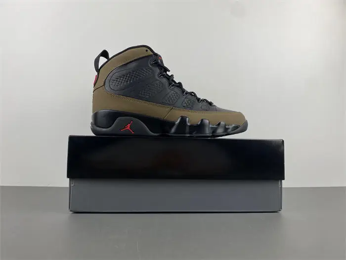 Air Jordan 9 “Olive”  EBD1369