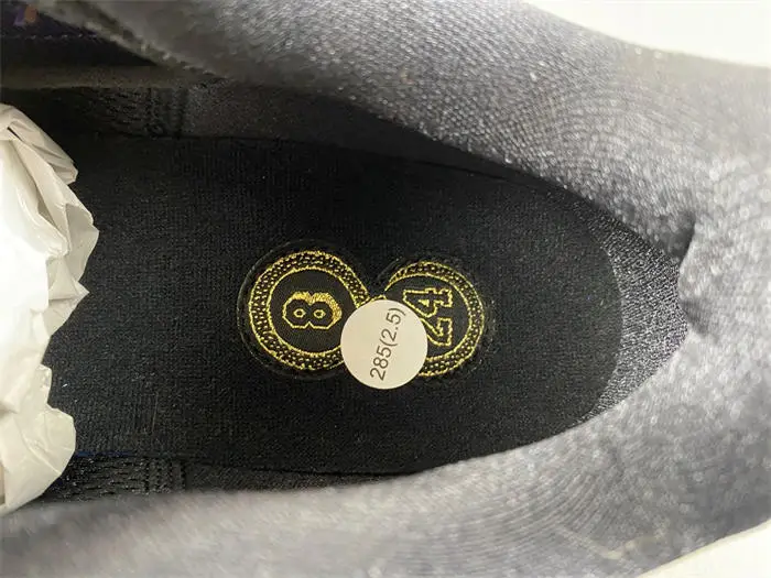Nike Kobe 5 Protro “Year of the Mamba” 