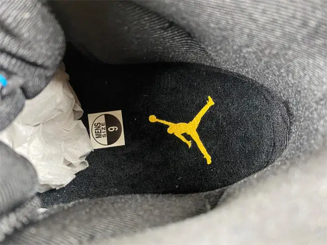 Air Jordan 11 “Gamma”   2025 