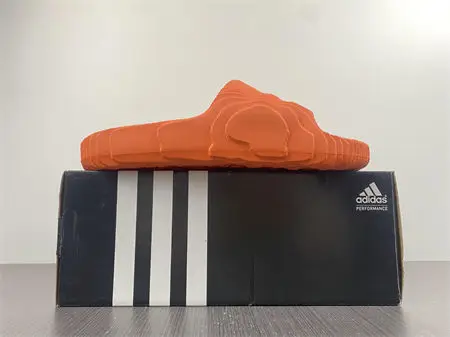 ADIDAS New Colleettion 