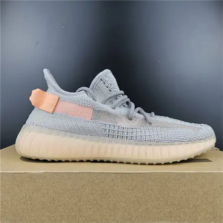 adidas Yeezy Boost 350 V2 Trfrm 