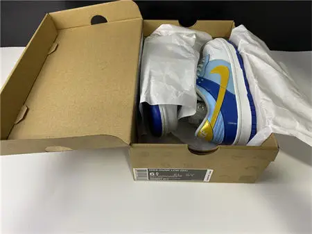Nike Dunk SB low 