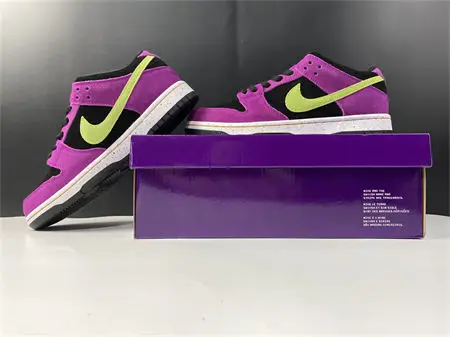Nike SB Dunk Low Pro ACG Terra Red Plum 
