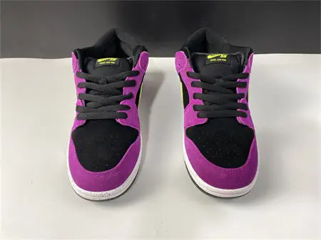 Nike SB Dunk Low Pro ACG Terra Red Plum 