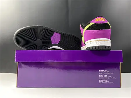 Nike SB Dunk Low Pro ACG Terra Red Plum 