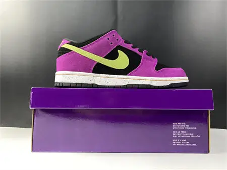 Nike SB Dunk Low Pro ACG Terra Red Plum 
