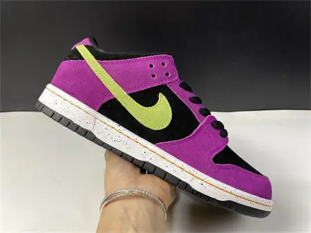 Nike SB Dunk Low Pro ACG Terra Red Plum 