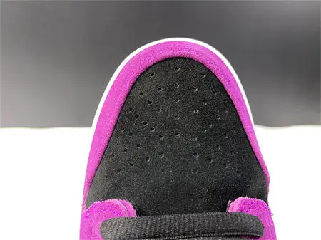 Nike SB Dunk Low Pro ACG Terra Red Plum 