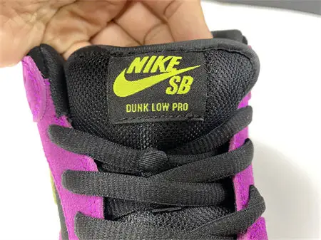Nike SB Dunk Low Pro ACG Terra Red Plum 