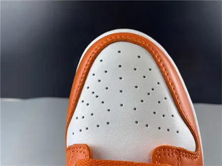 Nike Dunk Low SP Syracuse 