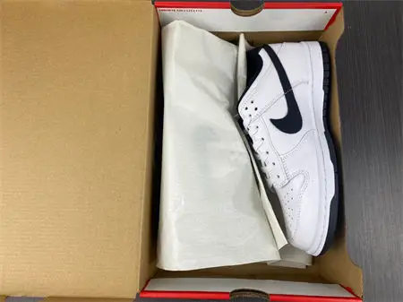 Nike Dunk Low White Black 