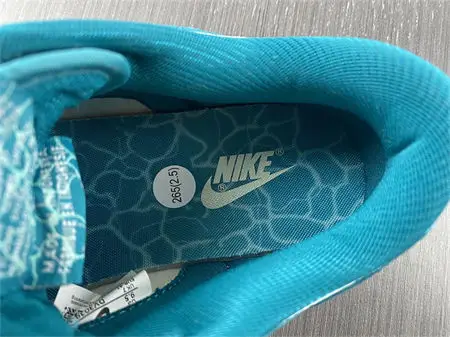 Nike Dunk Low Ocean 